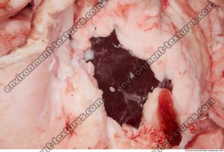 RAW meat pork 0129